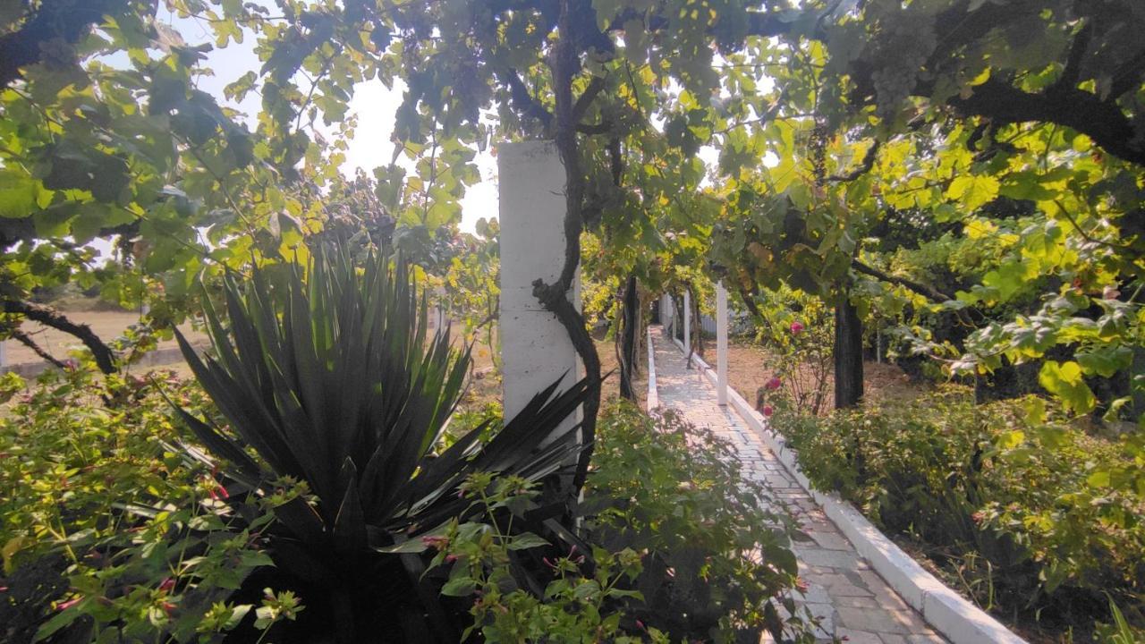 Morin Grey Casa En El Corazon De La Ribeira Sacra Villa Monforte De Lemos Bagian luar foto