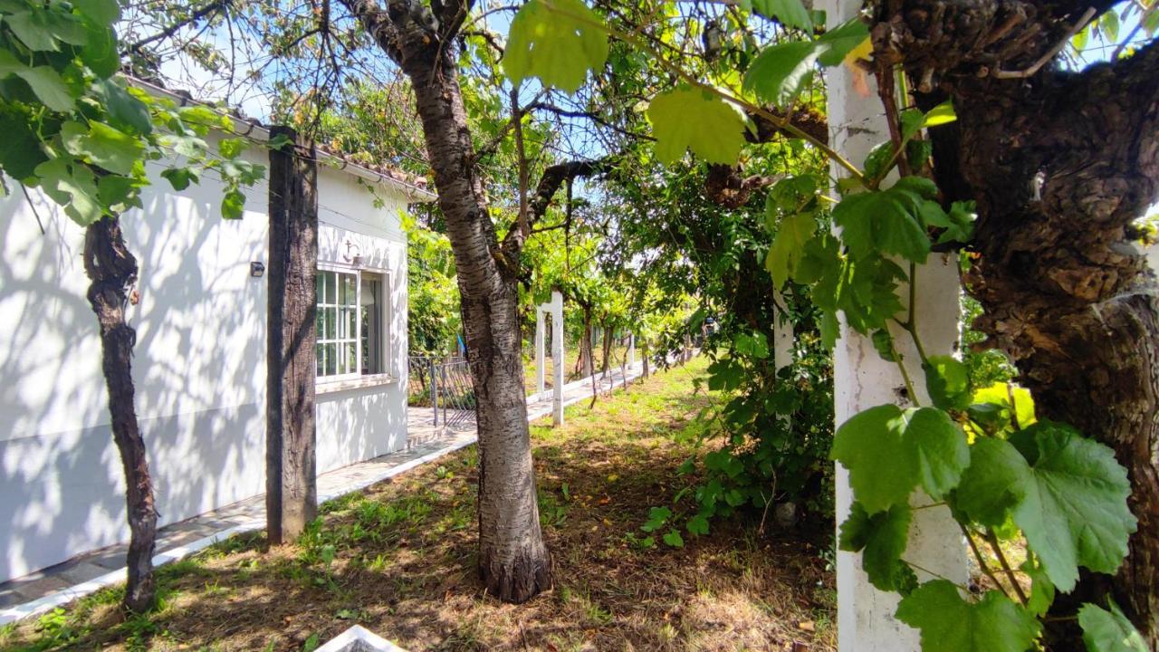 Morin Grey Casa En El Corazon De La Ribeira Sacra Villa Monforte De Lemos Bagian luar foto