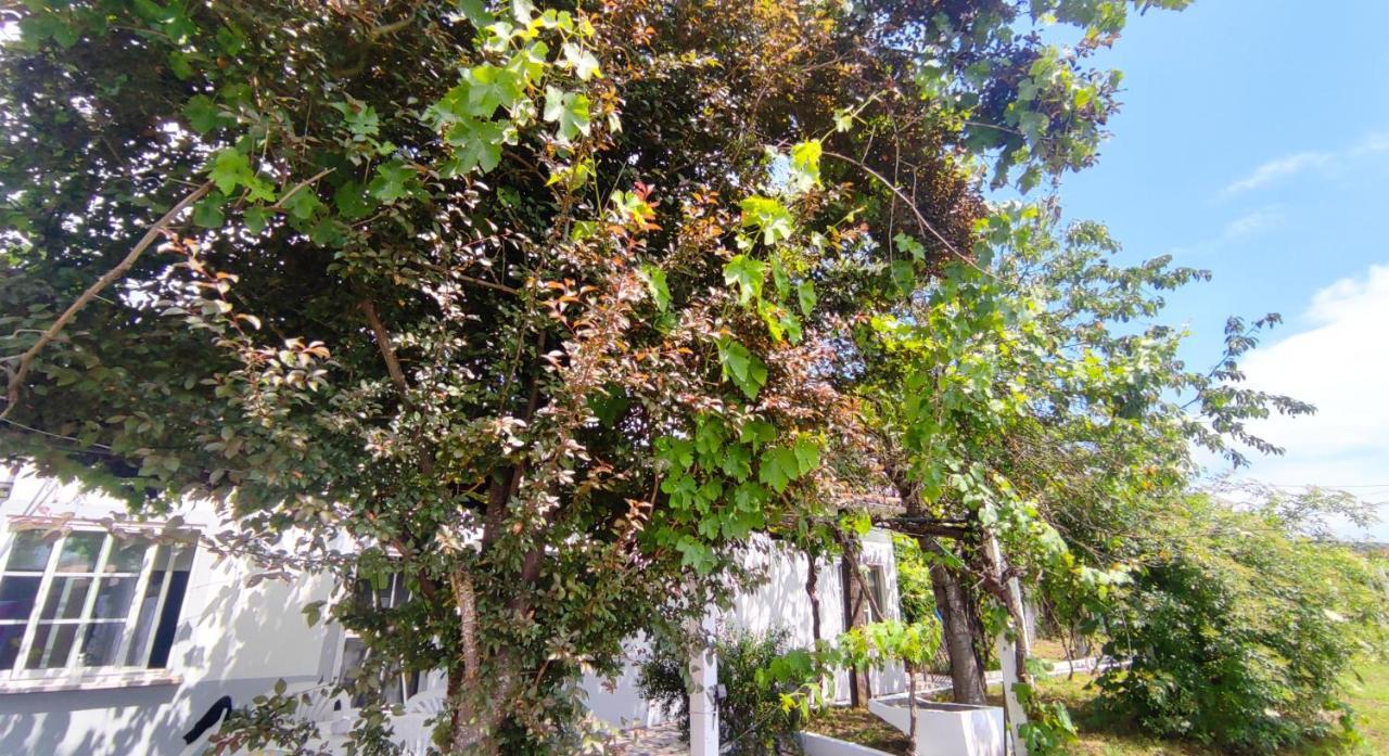 Morin Grey Casa En El Corazon De La Ribeira Sacra Villa Monforte De Lemos Bagian luar foto